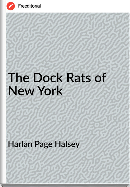 Harlan Page Halsey The Dock Rats of New York