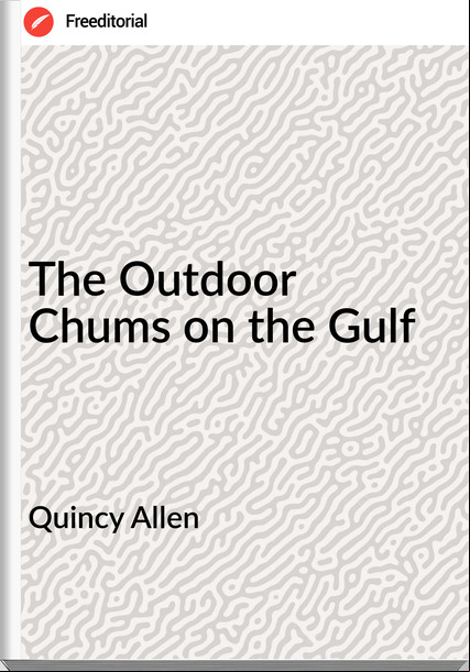 Quincy Allen - The Outdoor Chums on the Gulf